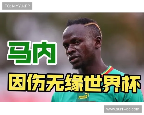 塞内加尔队2026世界杯阵容预测 马内领衔非洲冠军能否再创黑马奇迹